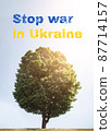 Stop the war in Ukraine. Inscription on a background of green lush tree and blue sky with sunlight. Help all civilians of Ukraine. 87714157