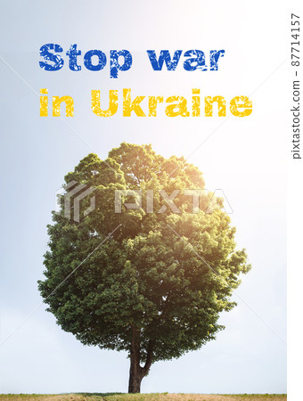 Stop the war in Ukraine. Inscription on a background of green lush tree and blue sky with sunlight. Help all civilians of Ukraine. Stop the war in Ukraine. Inscription on a background of green lush tree and blue sky with sunlight. Help all civilians of Ukraine. 87714157
