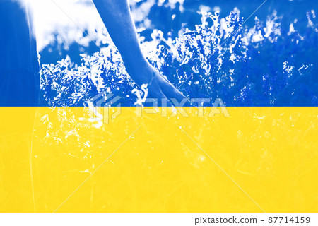 Background is made in yellow and blue colors, like the flag of Ukraine. Girl's hand touches the grass in the field. Demonstration of Color 2022. The concept of freedom and faith in the homeland. Background is made in yellow and blue colors, like the flag of Ukraine. Girl's hand touches the grass in the field. Demonstration of Color 2022. The concept of freedom and faith in the homeland. 87714159