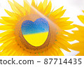 Yellow-blue heart as the flag of Ukraine is depicted in the middle of the sunflower. Ukrainian patriotism, power and faith in their country and army. 87714435