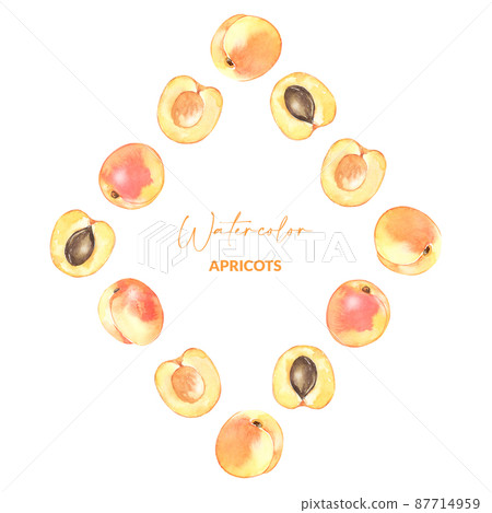 Watercolor illustrated apricots. Border with hand drawn juicy fruits. Organic food for packaging design, label and branding. Watercolor illustrated apricots. Border with hand drawn juicy fruits. Organic food for packaging design, label and branding. 87714959