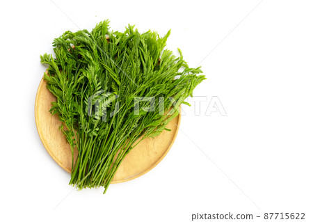 Leucaena leucocepphala on white background. Leucaena leucocepphala on white background. 87715622