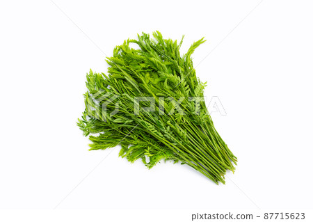 Leucaena leucocepphala on white background. 87715623