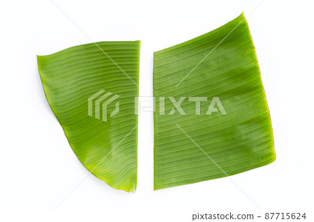Banana leaves on white background Banana leaves on white background 87715624