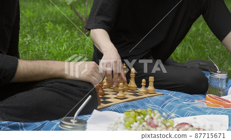 Two young guys playing chess in nature in the summer. LGBT Two young guys playing chess in nature in the summer. LGBT 87715671