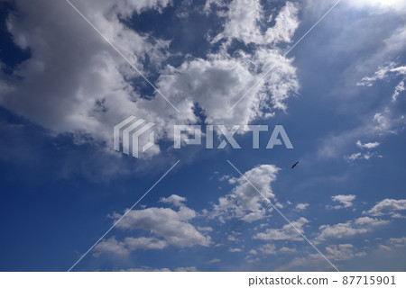 藍天白雲 87715901