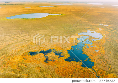 Miory District, Vitebsk Region, Belarus. The Yelnya Swamp. Upland And Transitional Bogs With Numerous Lakes. Elevated Aerial View Of Yelnya Nature Reserve Landscape. Famous Natural Landmark 87716282