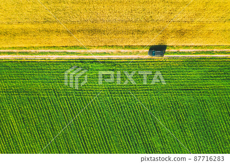 Aerial View Of Car SUV Parked Near Countryside Road In Spring Field Rural Landscape. Car Between Young Wheat And Corn Maize Plantation 87716283
