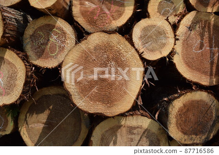 Cedar log cut out Cedar log cut out 87716586