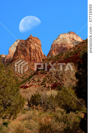 Zion Moon Zion Moon 87716989