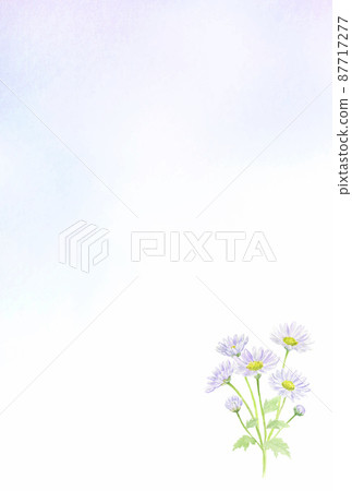 用透明水彩畫的紫菊明信片模板 87717277