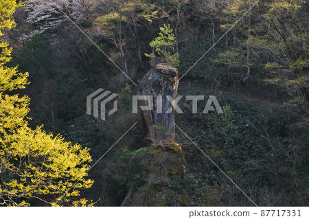 《Shimane Prefecture》 Prefectural Natural Park Demon Tongue Earthquake Scenery [April] 87717331
