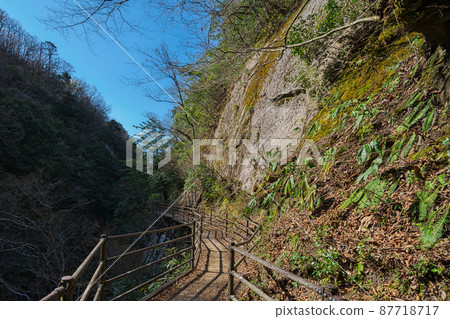 《島根縣》縣立自然公園魔舌地震風景[4月] 87718717
