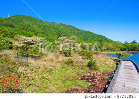 赤城公園 角萬淵地藏岳 散步道上的景色 初夏的景色 87718886