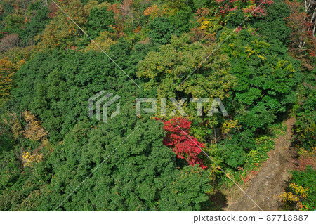 《島根縣》縣立自然公園 魔舌顫抖的風景【11月】 87718887