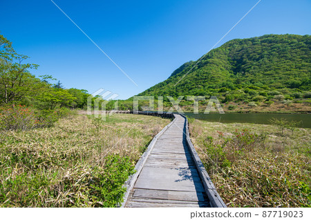 赤城公園 Kakumanbuchi 木板路 從長廊眺望初夏風景 赤城公園 Kakumanbuchi 木板路 從長廊眺望初夏風景 87719023