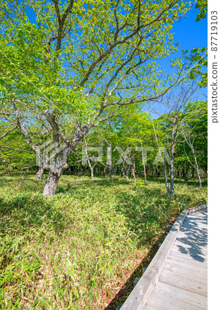 赤城公園 Kakumanbuchi Shinki-do 從長廊眺望初夏美景 87719103