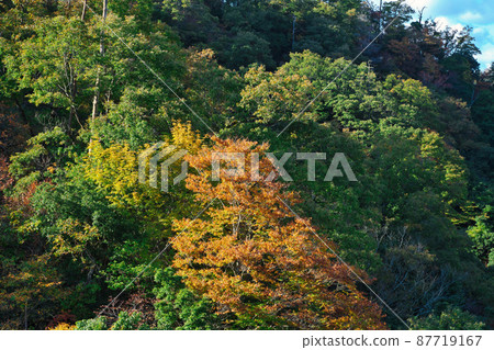 《島根縣》縣立自然公園 魔舌顫抖的風景【11月】 《島根縣》縣立自然公園 魔舌顫抖的風景【11月】 87719167