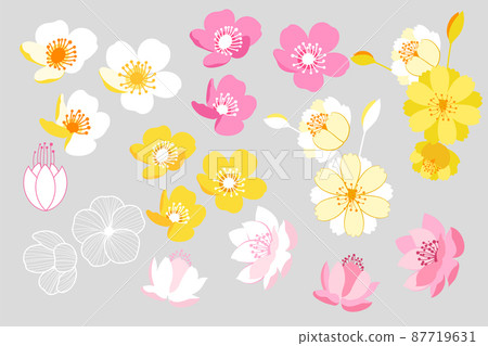 flower set spring frame spring spring background flower set spring frame spring spring background 87719631