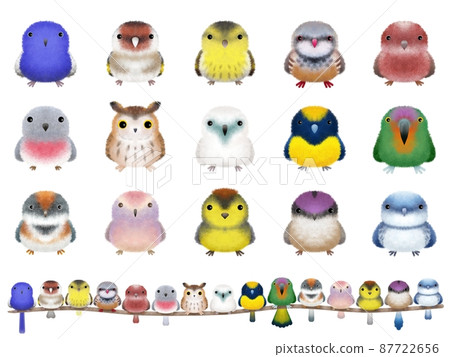 Fluffy bird series B white background 87722656