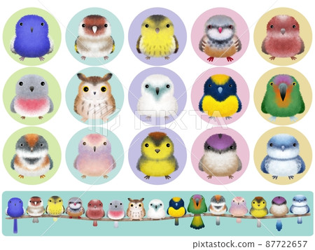 Fluffy Bird Series B with background 87722657