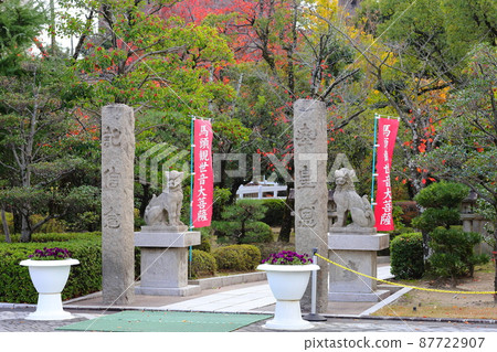 阪神賽馬場的Hayagriva 阪神賽馬場的Hayagriva 87722907