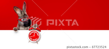 Easter rabbit with medical mask at epidemic time Easter rabbit with medical mask at epidemic time 87723524