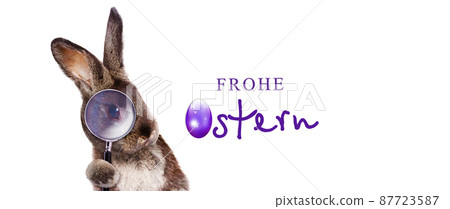 Funny Easter bunny. Happy Easter holiday concept. 87723587