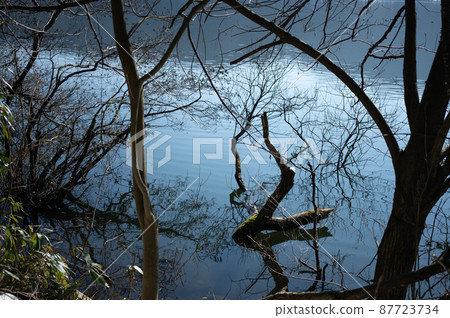 Yogo湖的冬天風景｜滋賀縣的美麗風景 87723734