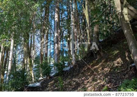 Winter scenery of Lake Yogo ｜ Beautiful scenery of Shiga prefecture 87723750