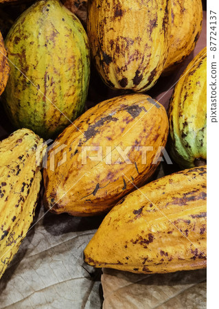 Pile of cacao beans and cocoa pod  87724137
