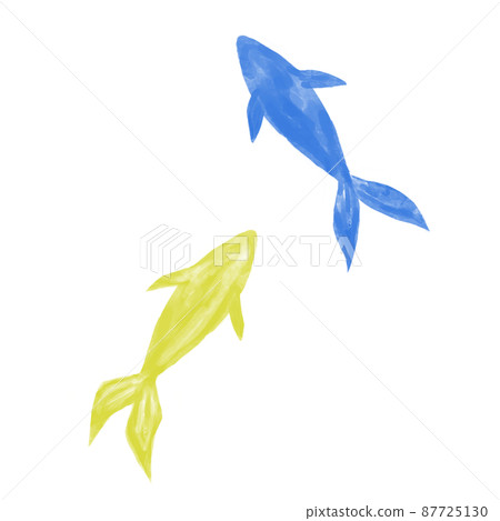 Illustration material Goldfish drawn in watercolor Yellow and blue Illustration material Goldfish drawn in watercolor Yellow and blue 87725130