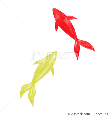 Illustration material Goldfish drawn in watercolor Red and yellow Illustration material Goldfish drawn in watercolor Red and yellow 87725141