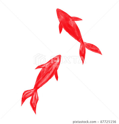 Illustration material: Two red goldfish drawn in watercolor 87725156