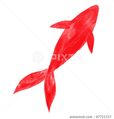用水彩紅畫的插圖素材金魚 87725157