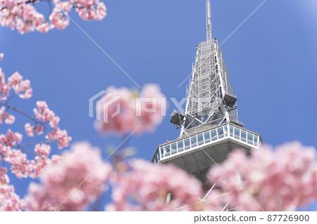Chubu Electric Power MIRAI TOWER (Nagoya TV Tower) and Sakura Kawazu 87726900