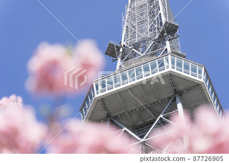 中部電力 MIRAI TOWER(名古屋電視塔)和 Sakura Kawazu 中部電力 MIRAI TOWER(名古屋電視塔)和 Sakura Kawazu 87726905