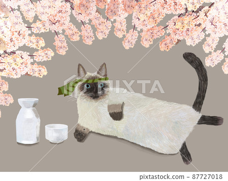 春天choko和暹羅貓_側身 春天choko和暹羅貓_側身 87727018