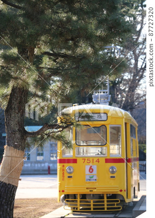 Toden in the garden that has been cleaned by redressing 87727320