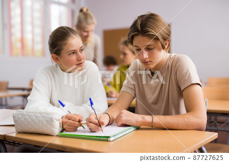 Group of school kids and teacher during lesson Group of school kids and teacher during lesson 87727625
