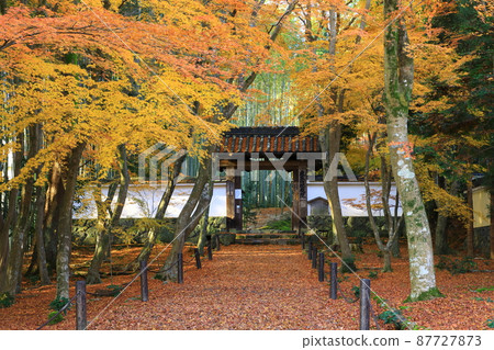 Bamboo Temple Jizo-in Autumn Leaves Scenery Bamboo Temple Jizo-in Autumn Leaves Scenery 87727873