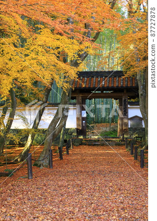 Bamboo Temple Jizo-in Autumn Leaves Scenery Bamboo Temple Jizo-in Autumn Leaves Scenery 87727878