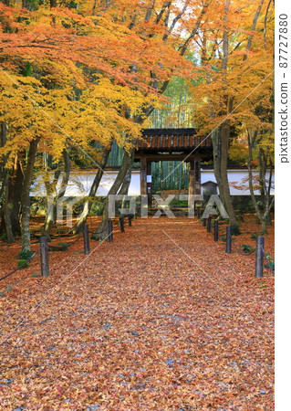 竹寺地藏院秋葉風光 87727880