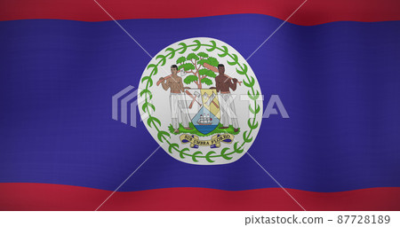 Image of moving flag of belize waving 87728189