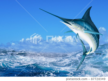 粗浪和馬林魚臥式 87728349