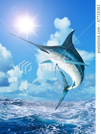 Rough waves and marlin vertical type 87728361