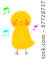Singing chick 87728737