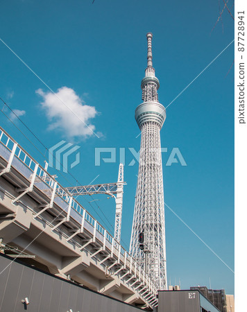 Scenery with sky tree 87728941