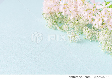 白色蕾絲花朵和小町櫻花的清爽春天花框 87730282