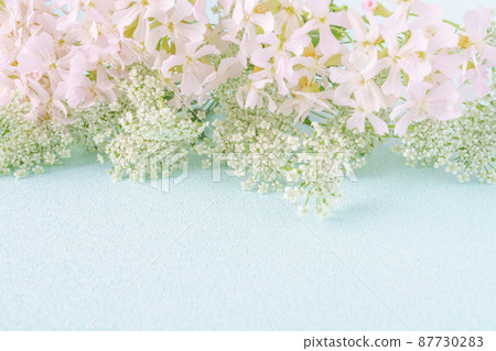 白色蕾絲花朵和小町櫻花的清爽春天花框 87730283